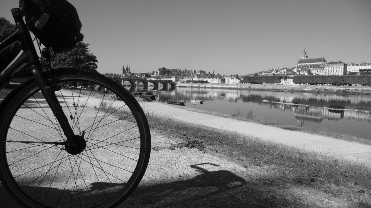 Apartmán Les Ateliers Du Roi Blois Exteriér fotografie