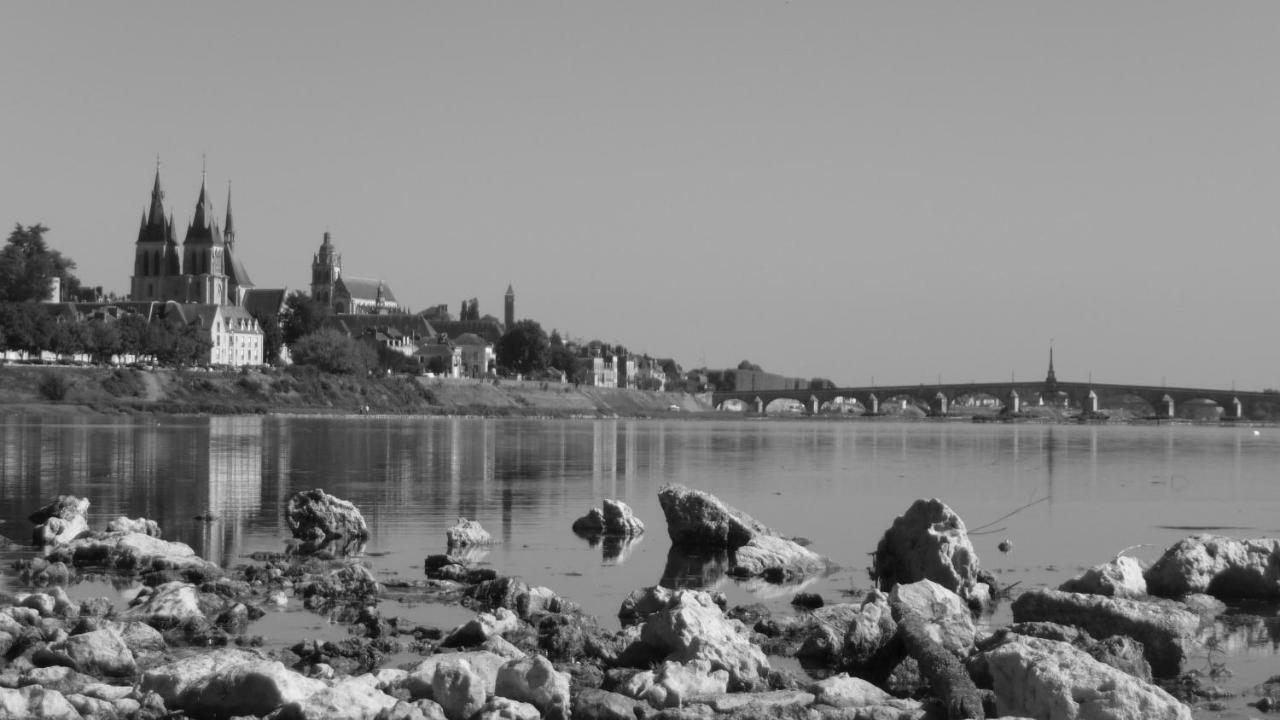 Apartmán Les Ateliers Du Roi Blois Exteriér fotografie